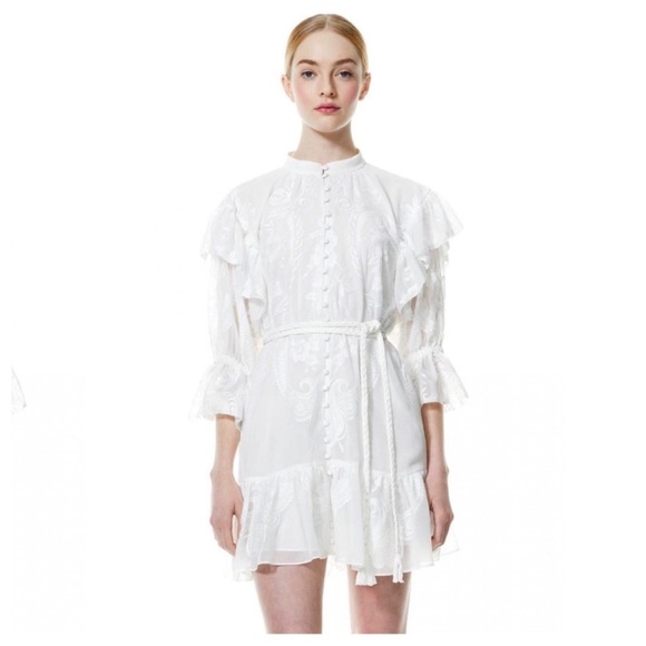 alice + olivia teddi dress size 8 NWT - Picture 8 of 14